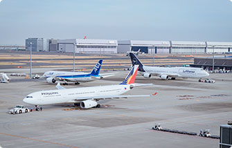 Поиск авиакомпаний