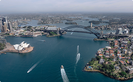 Морской экспорт мебельной древесины​